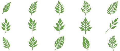 Green Leaf icon shape fresh flat vector design.