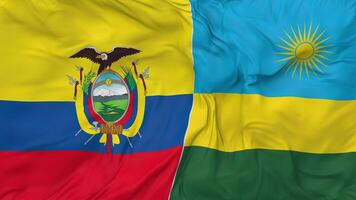 Rwanda vs Ecuador Flags Together Seamless Looping Background, Looped Bump Texture Cloth Waving Slow Motion, 3D Rendering video