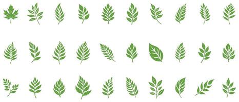 Green Leaf icon shape fresh flat vector design.