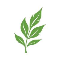 Green Leaf icon shape fresh flat vector design.