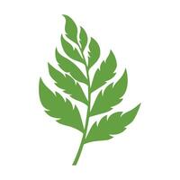 Green Leaf icon shape fresh flat vector design.