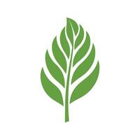 Green Leaf icon shape fresh flat vector design.