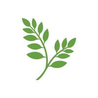 Green Leaf icon shape fresh flat vector design.