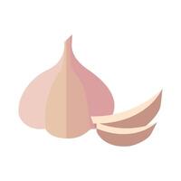 Vector garlic icon flat illustration of garlic vector icon isolated on white background