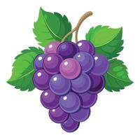 Grape colorful cartoon vector illustration