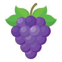 Grape colorful cartoon vector illustration