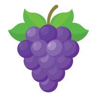 Grape colorful cartoon vector illustration