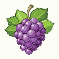 Grape colorful cartoon vector illustration