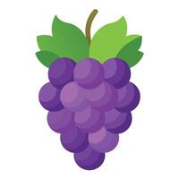 Grape colorful cartoon vector illustration