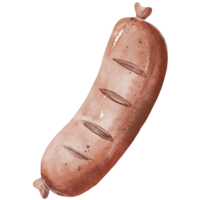 watercolor sausage painting clip art, fastfood illustration png