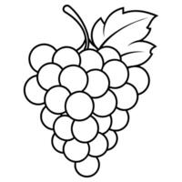 Grape outline coloring page illustration for children and adult vector