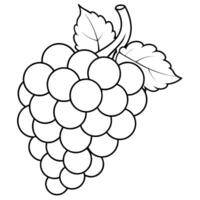 Grape outline coloring page illustration for children and adult vector