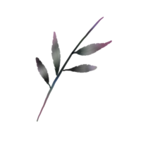 Multi Colored Watercolor Plant png