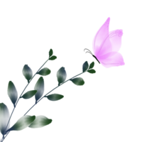 aquarelle rose papillon avec vert plante png