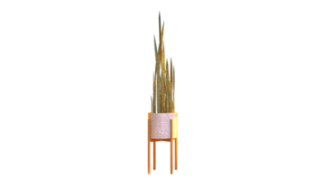 a tall plant in a vase on a table png