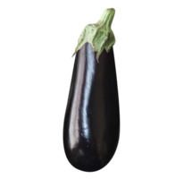 aubergine geïsoleerd Aan transparant achtergrond png
