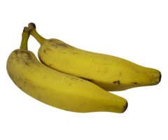 Two bananas on transparent background background png