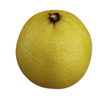 Lemon isolated on transparent background png