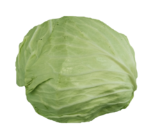 Green cabbage on transparent background png