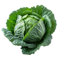 AI generated cabbage isolated on transparent background ,generative ai png