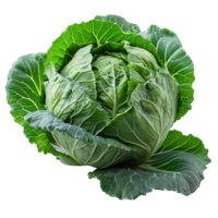 AI generated cabbage isolated on transparent background ,generative ai png