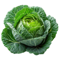 AI generated cabbage isolated on transparent background ,generative ai png