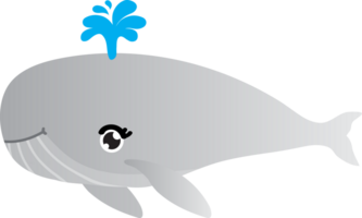 mignonne baleine dessin animé, mer animal png