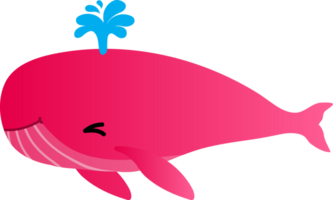 cute whale cartoon, sea animal png