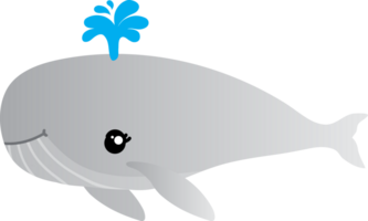 cute whale cartoon, sea animal png