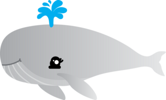 schattig walvis tekenfilm, zee dier png