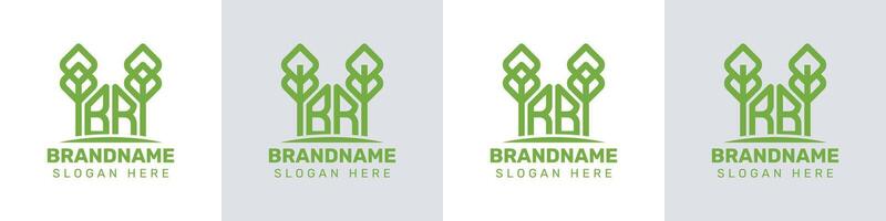 Letters BR and RB Greenhouse Logo, for business related to plant with BR or RB initials vector