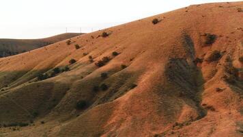 Side view of mountainous landscape with growing bushes under the sunset light in the evening. Shot. Aerial of hilly region on blue sky background. video