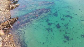 Old sunken ships near coast in winter. Footage. Top view of graveyard of ships in turquoise water off snowy coast in winter. Sunken ships near shore with turquoise winter water video