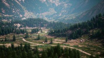 A picturesque road winding through a lush forest video