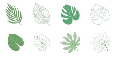 Minimal drawn leaves botanical line art. Trendy elements of garden and spring leaves. Vector illustration for invitation, banners, cards. Isolated