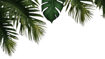 AI Generated Natural of Tropical green leaves of leaf isolated on transparent png background, varies different of plant botanical. AI generation