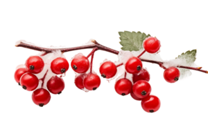 AI generated Twig Berries On Transparent Background png