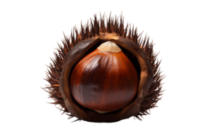 AI generated Toasted Chestnut on Transparent Background. png