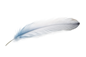 AI generated Bird Feather on Transparent Background. png