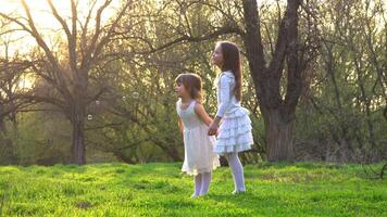 Happy kids playing in the park on the green grass. Girls catch fluff. Backlight 4K video