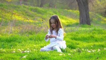 een meisje zit Aan de gras in de park en de meisje Toneelstukken populier pluis. de kind is gelukkig in zijn spel. achtergrondverlichting 4k video