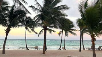 Romantic sunset on the beach under palm trees. An empty beach without people, sunbeds by the sea with waves. Vacation at the resort. video