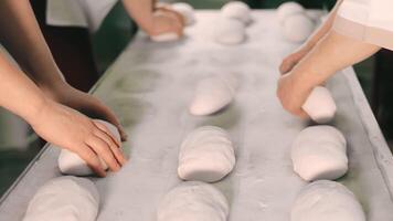 Bakers spread the dough in their hands for baking bread. Close-up of unfolding bread video