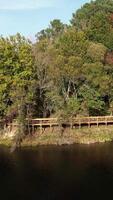 verticale vidéo de au bord de la rivière video