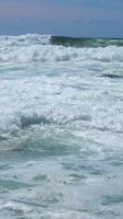 verticaal video van strand zee golven