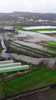 verticaal video van overstroming landbouw velden na regen storm antenne visie