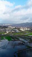 Vertikale Video von Flut Landwirtschaft Felder nach Regen Sturm Antenne Aussicht