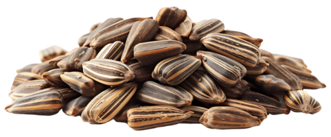 AI generated Sunflower seeds on a transparent background png