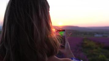 femme dans lavande champ. branché fille prise selfie Extérieur avec une verre de Champagne dans lavande champ sur été le coucher du soleil. souriant content femme photographier avec téléphone intelligent. video