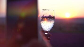 Frau im Lavendel Feld. modisch Mädchen nehmen Selfie draussen mit ein Glas von Champagner im Lavendel Feld auf Sommer- Sonnenuntergang. lächelnd glücklich Frau Fotografieren mit Smartphone. video